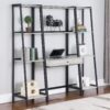 PICKARD LADDER BOOKCASE - Image 5